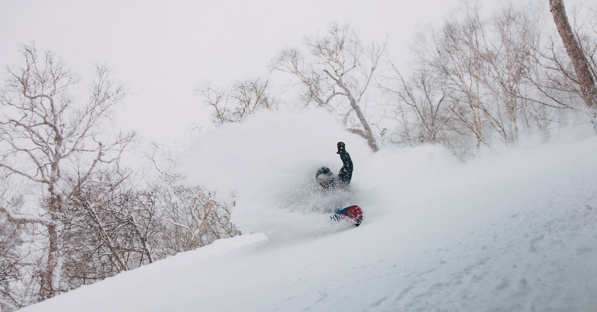 Burton's Official Guide to Snowboarding in Central Hokkaido