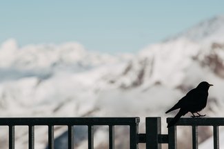 東京 原宿でボードメンテナンスクリニックを開催 Burton Jp