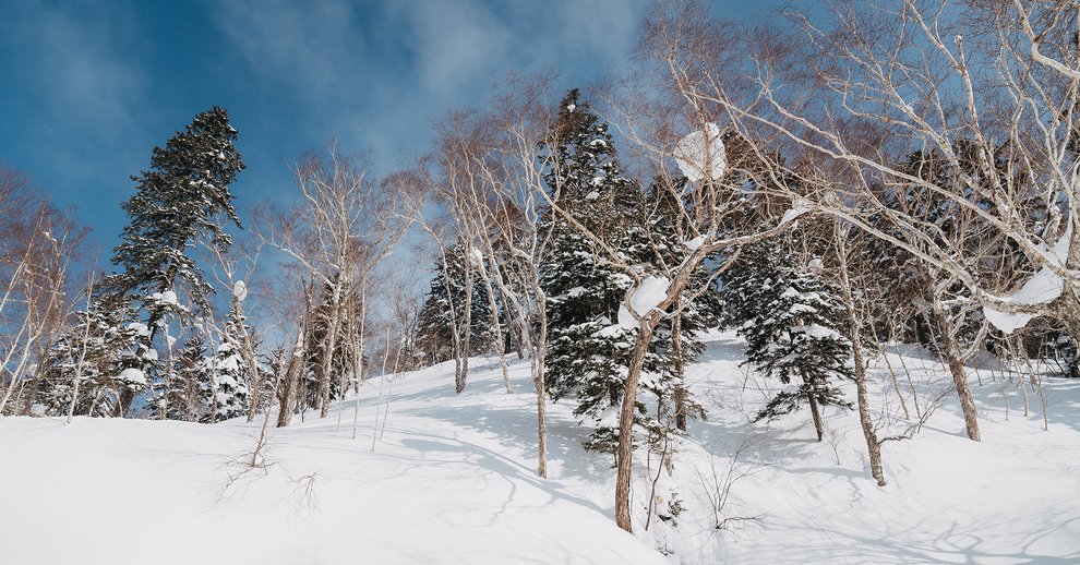 Winter 2024モデルを試乗しましょう！ | BURTON JP