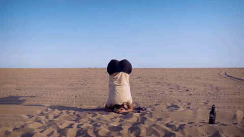 More core and cool down. Do 5x reps. Always fun to get inverted.