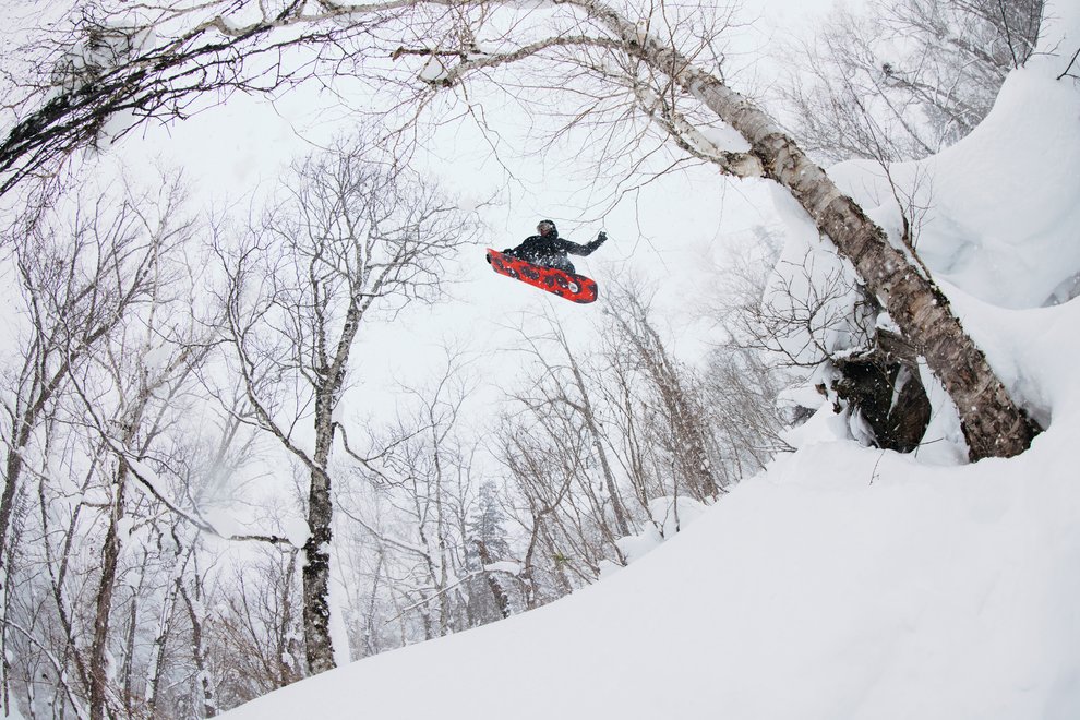 Burton Family Tree Hometown Hero 2026