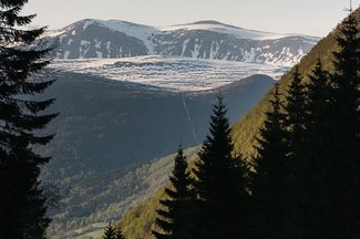 あなたの代わりにストアスタッフが試着します