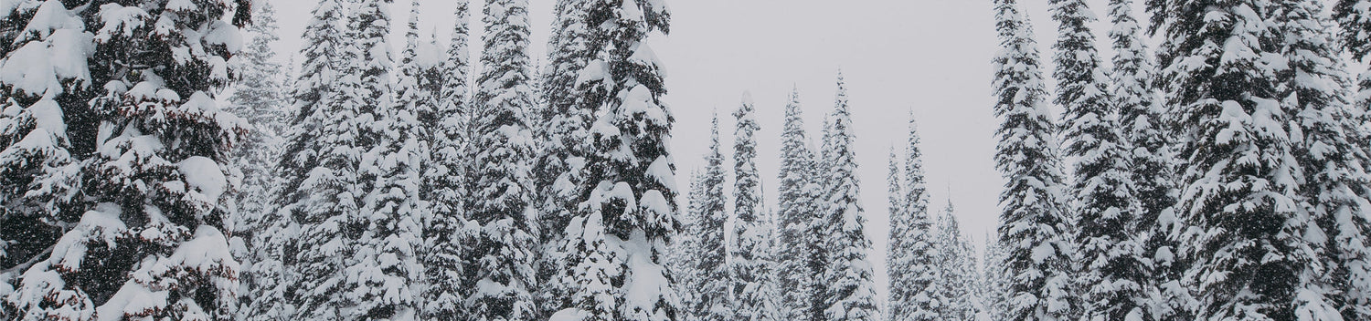 Sustainable Warmth: What’s the Deal With Responsibly Sourced Down?