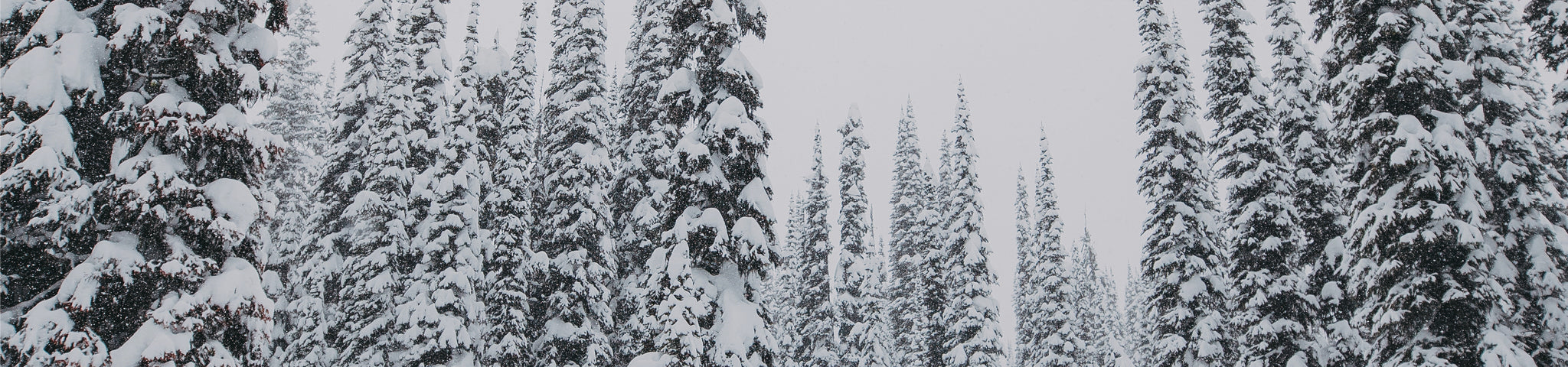 Sustainable Warmth: What’s the Deal With Responsibly Sourced Down?