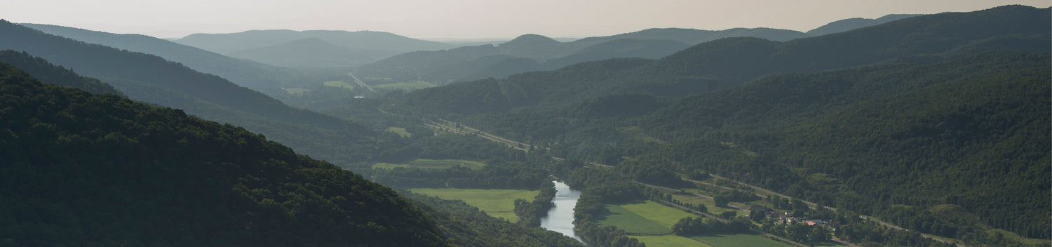 2020 Sustainability Goals: Track Our Progress