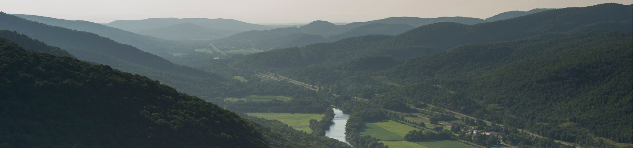 2020 Sustainability Goals: Track Our Progress