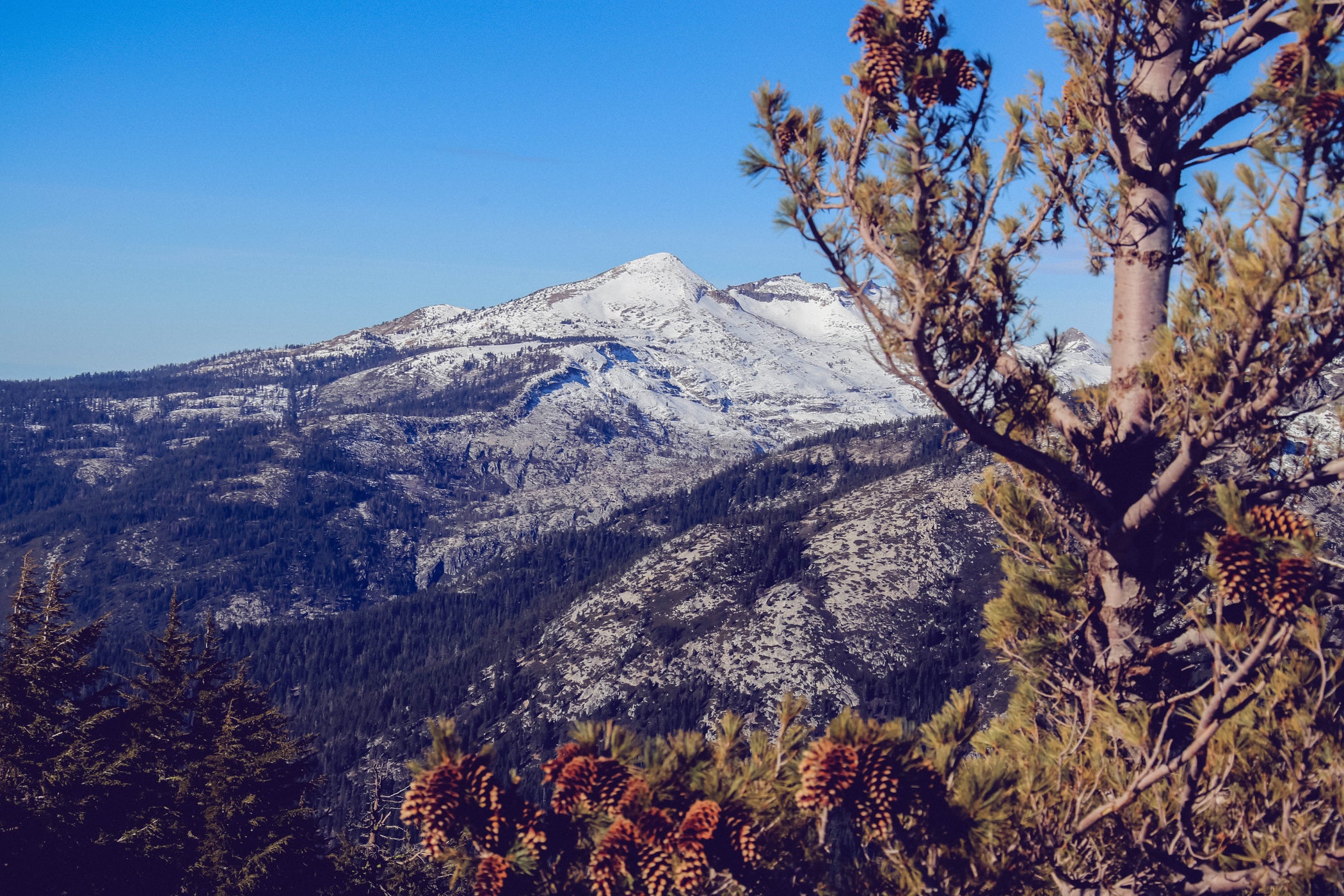 Burton Ambassador Charley Zheng Reflects on Snowboarding in Tahoe