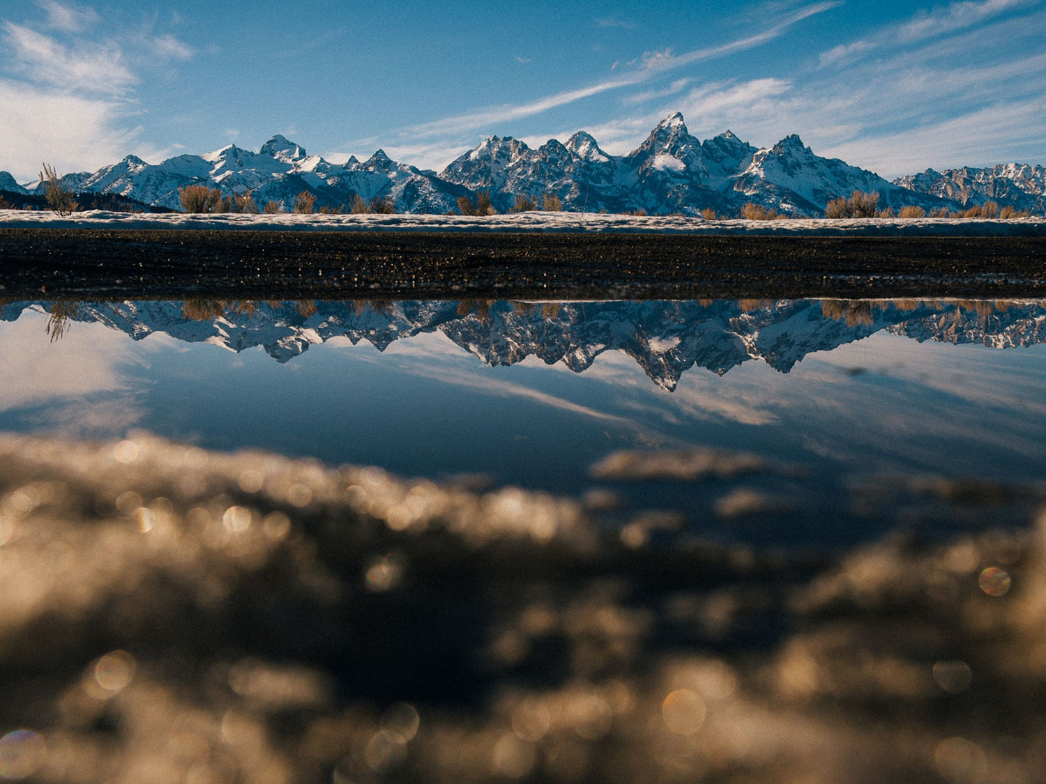 Sustainability and Burton's Future