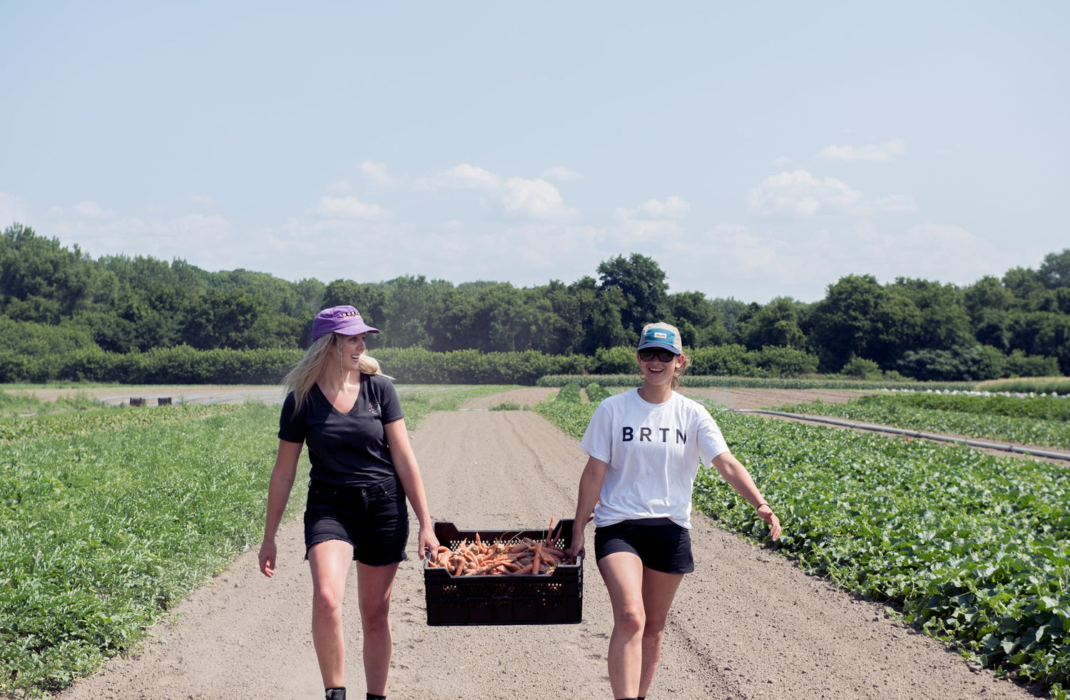 Less Waste, More Food – Burton Goes Gleaning