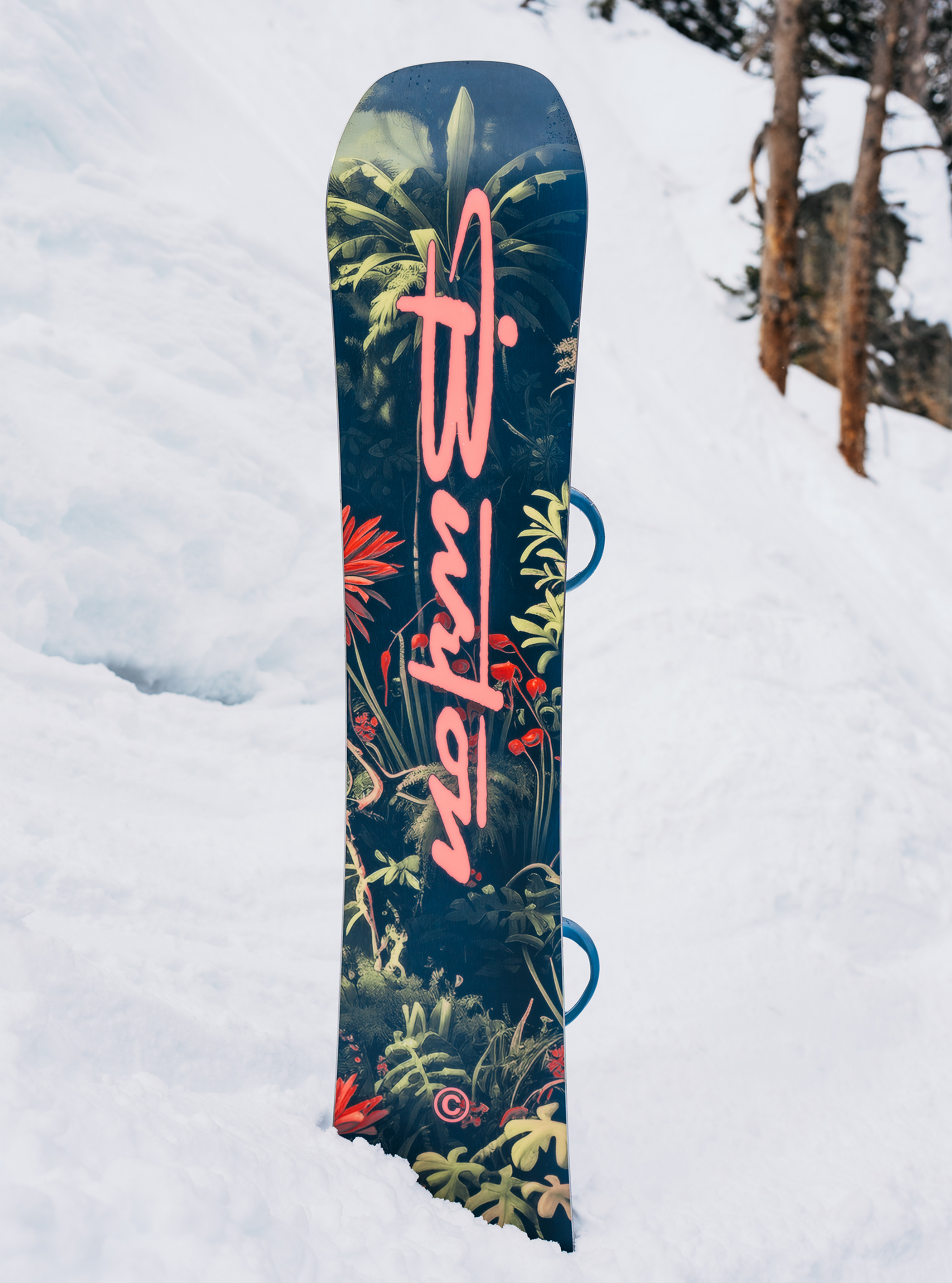 Men's Burton Custom Camber Snowboard
