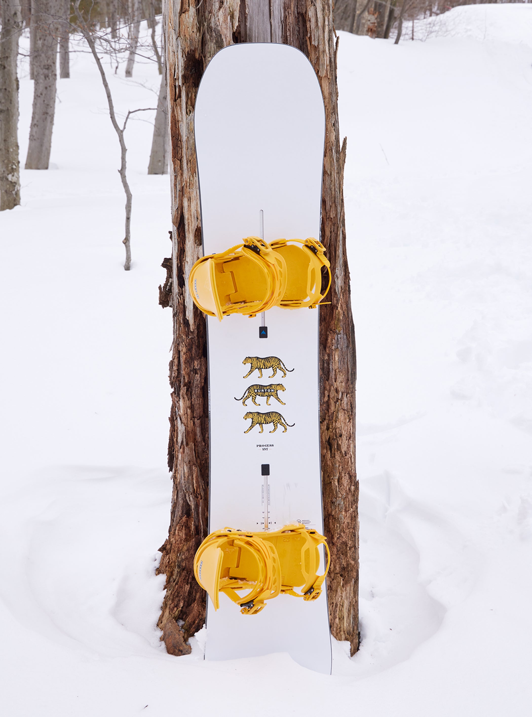 Men's Burton Process Camber Snowboard