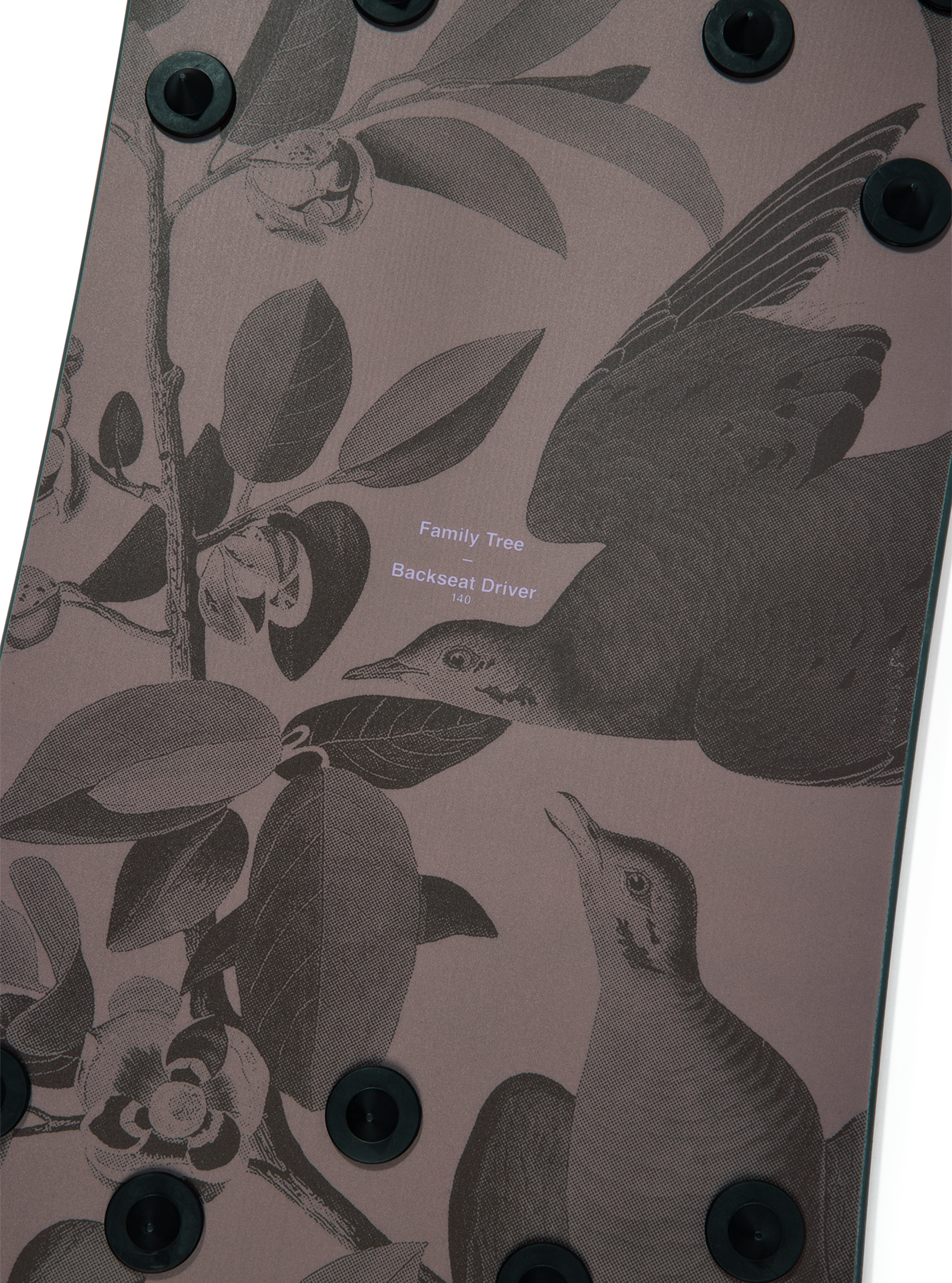 Burton Family Tree Backseat Driver Pow Surfing Snowboard