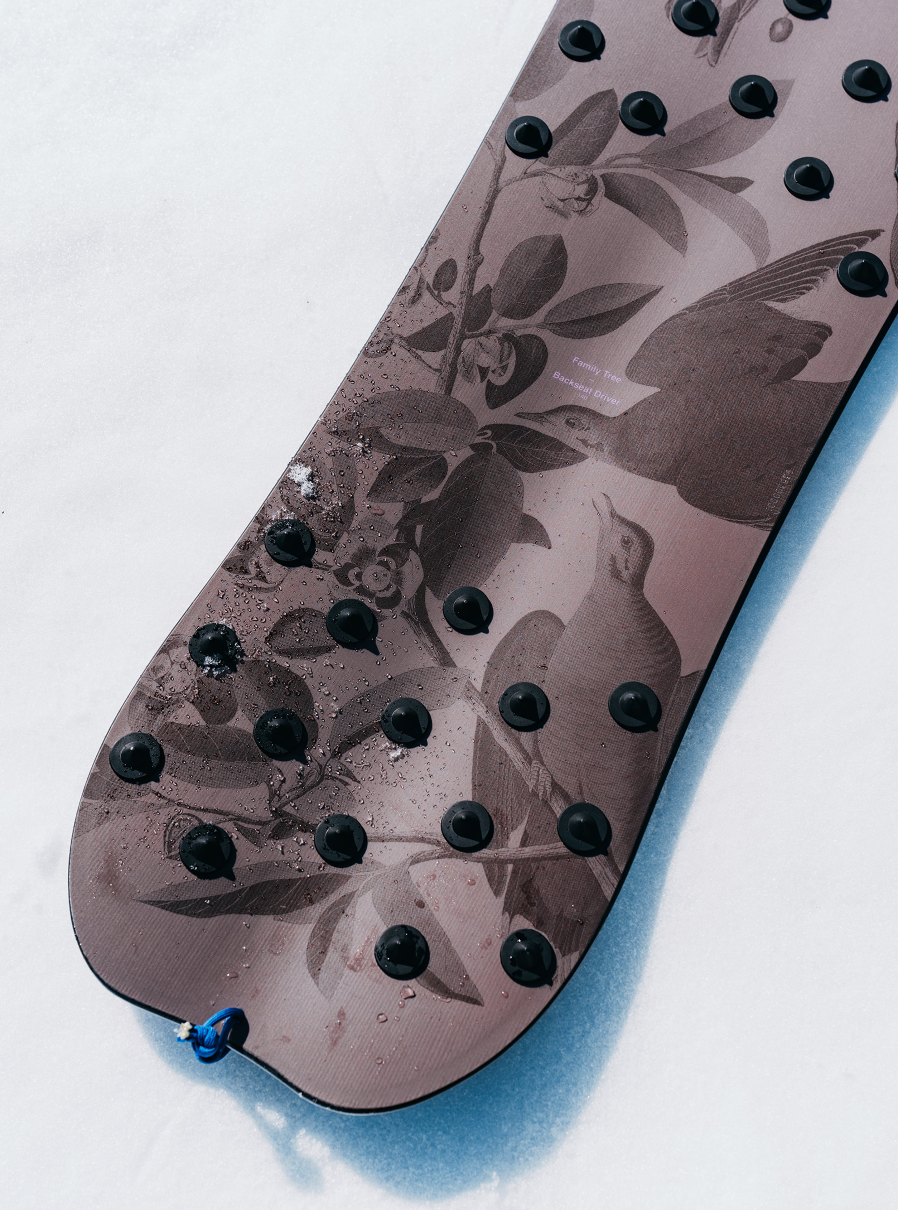 Burton Family Tree Backseat Driver Pow Surfing Snowboard | Burton Burton Family Tree Backseat Driver Pow Surfing Snowboard | Burton