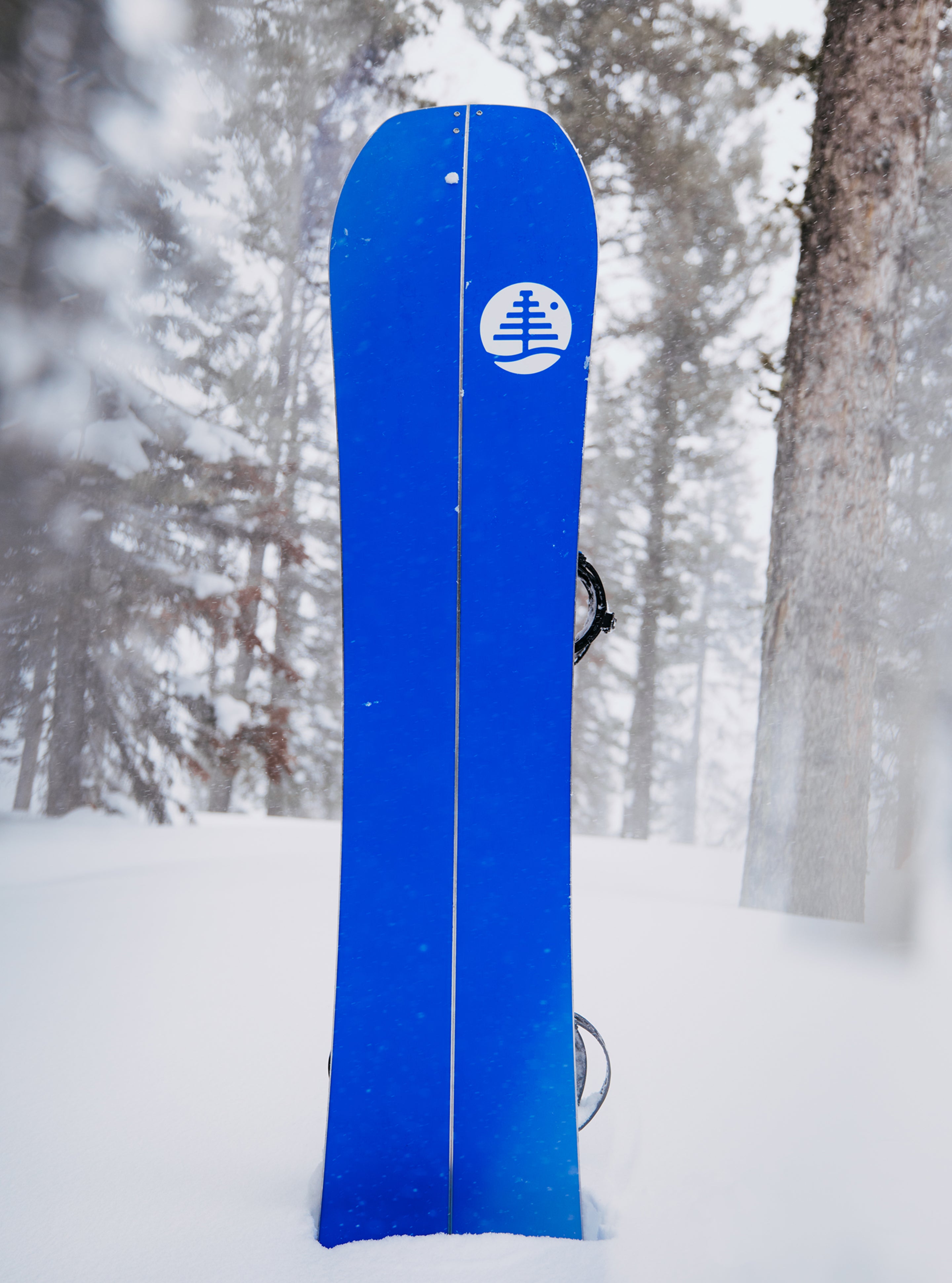 Burton Family Tree Hometown Hero Splitboard | Burton.com Winter Burton Family Tree Hometown Hero Splitboard | Burton.com Winter