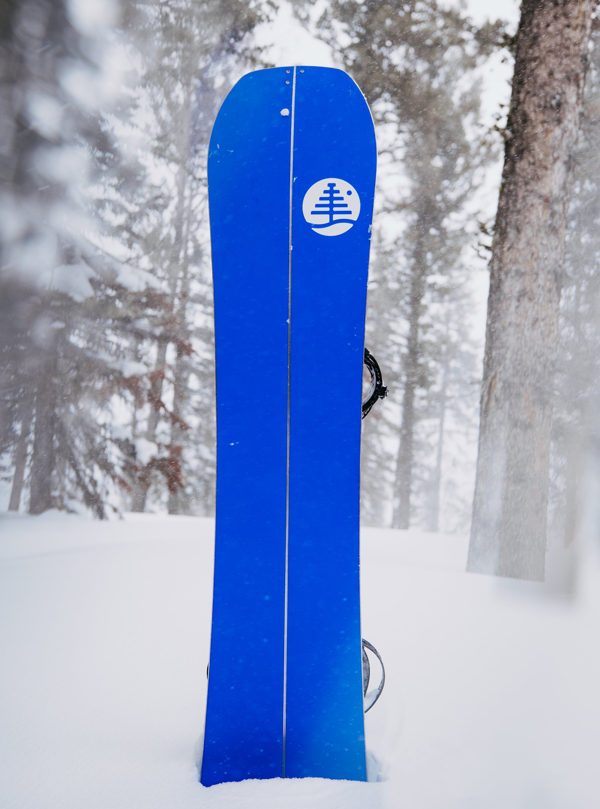 Burton Family Tree Hometown Hero Splitboard