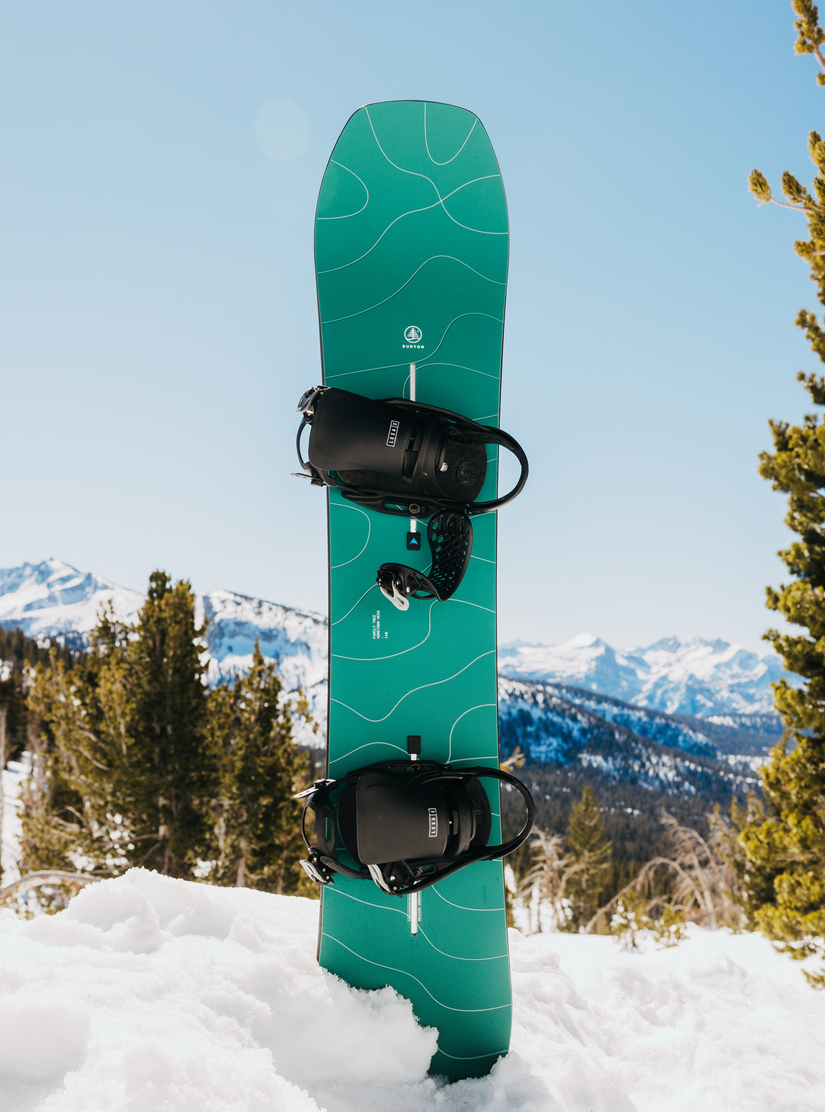 Burton Family Tree Hometown Hero Camber Snowboard
