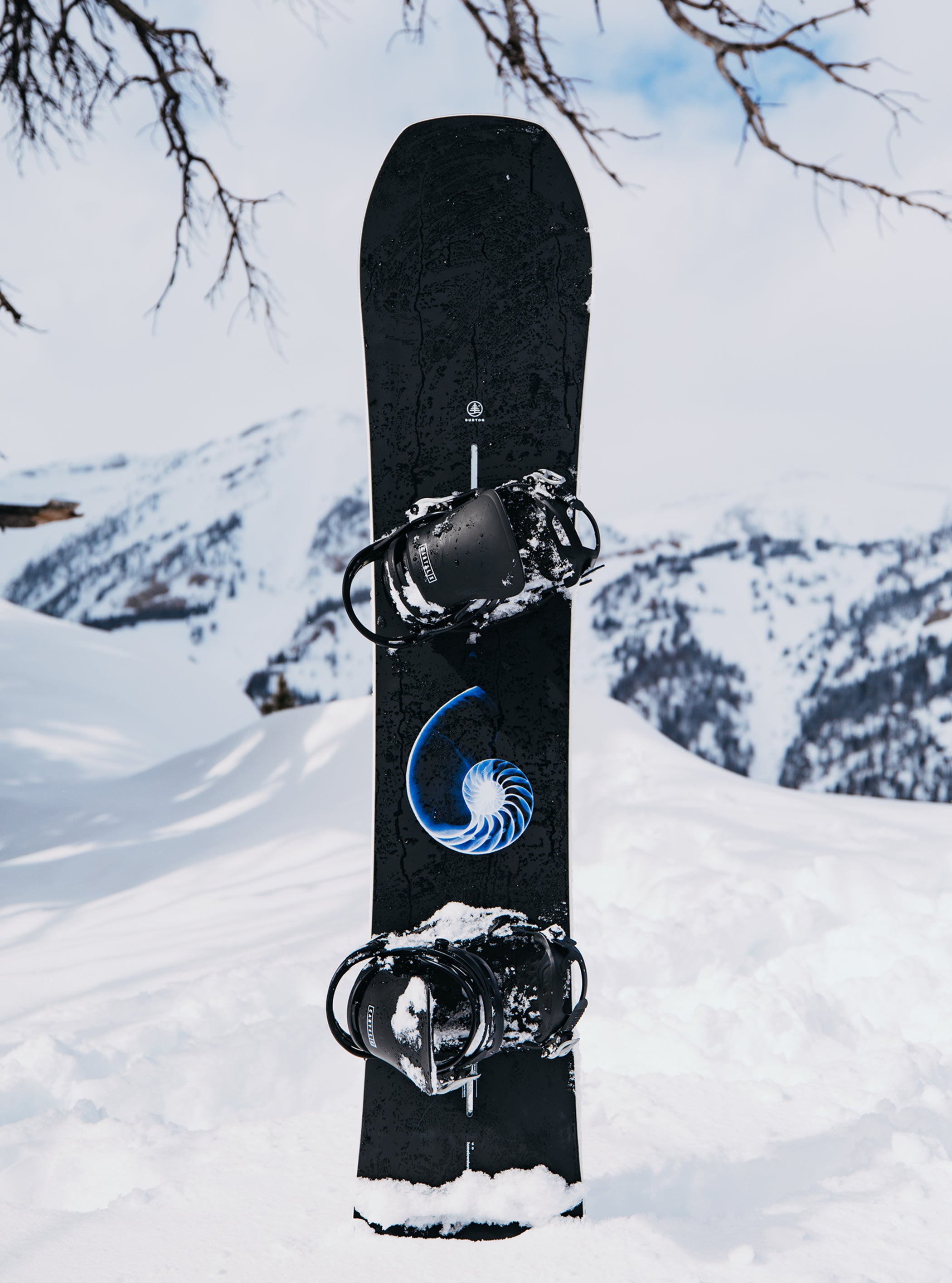 Burton Family Tree Hometown Hero Camber Snowboard