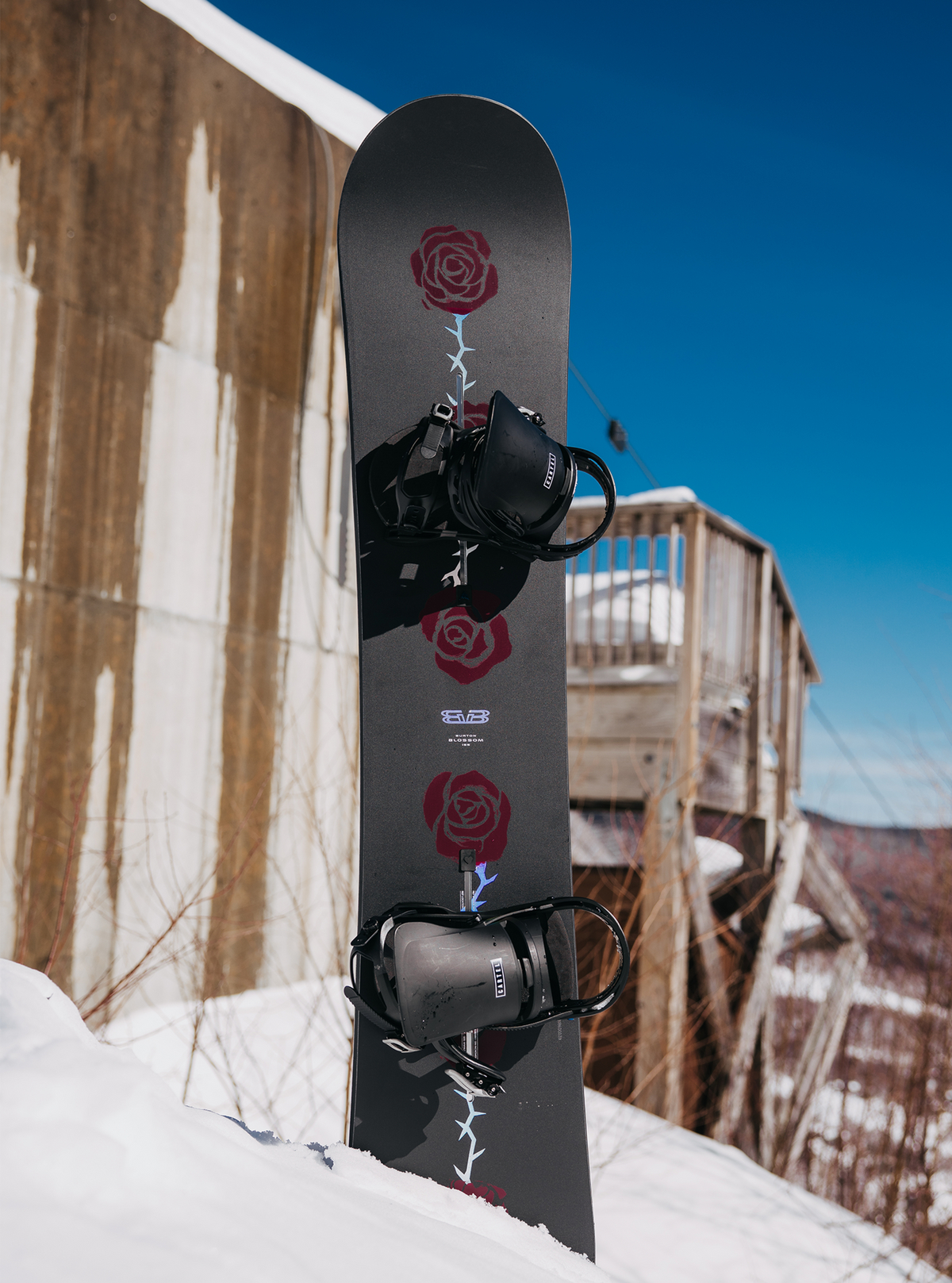 Burton Blossom Camber Snowboard