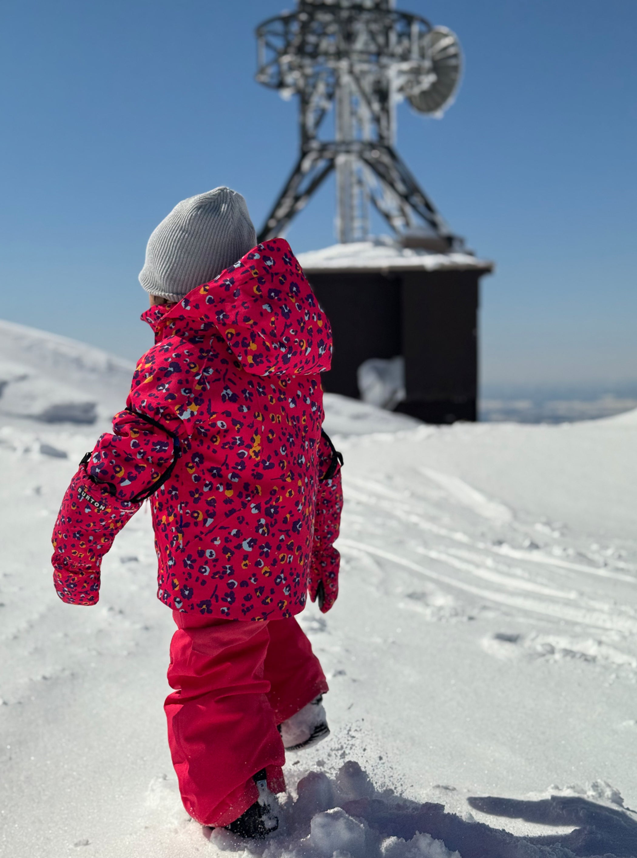 Product image of Toddlers' Burton Hillslope 2L Jacket[Variant:Wildcat Floral]