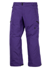 Product image of Men's Burton Reserve GORE-TEX 2L Pants[Variant:Prism Violet]
