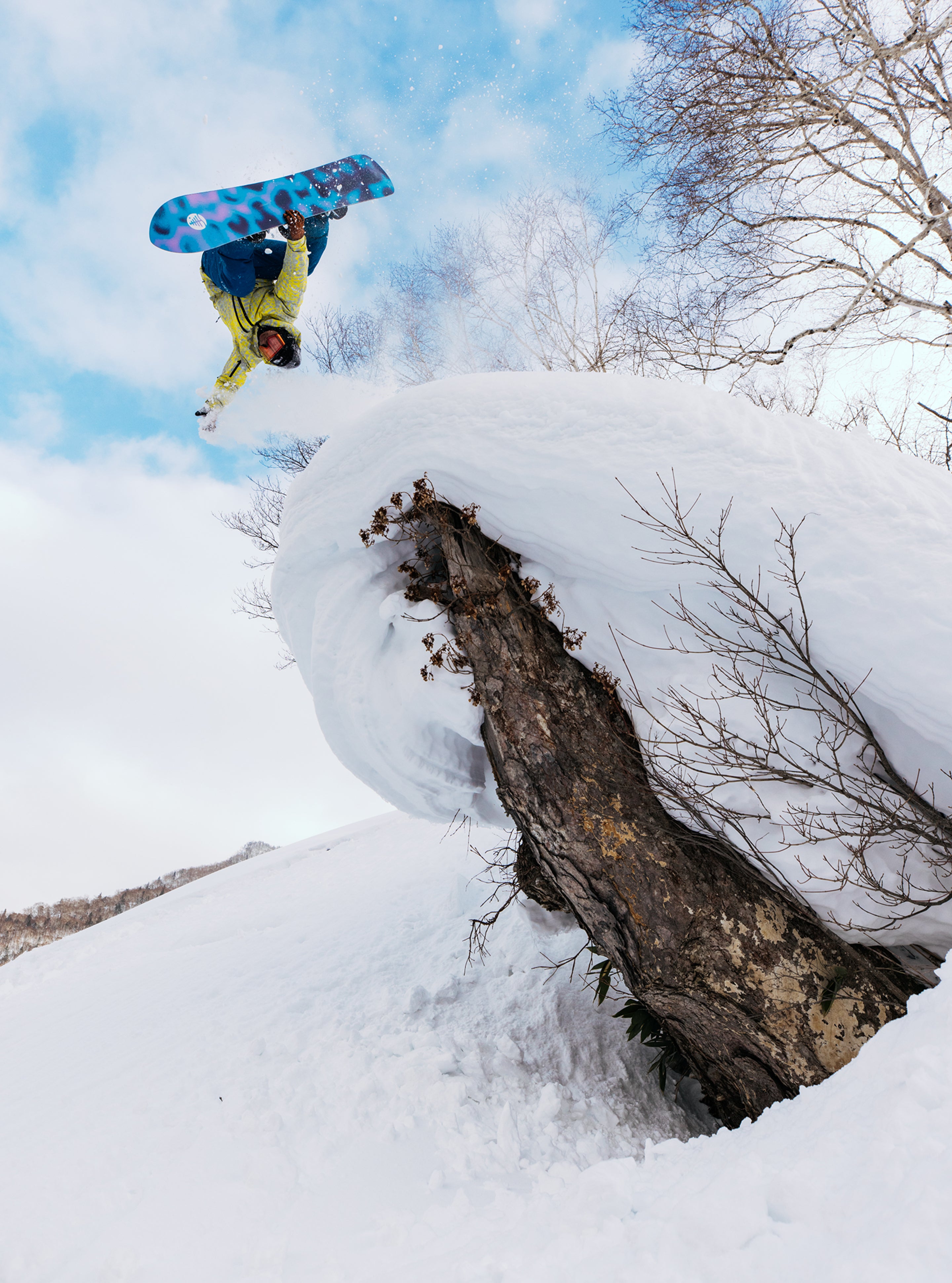 Burton Family Tree Sketch Artist Camber Snowboard | Burton.com Burton Family Tree Sketch Artist Camber Snowboard | Burton.com