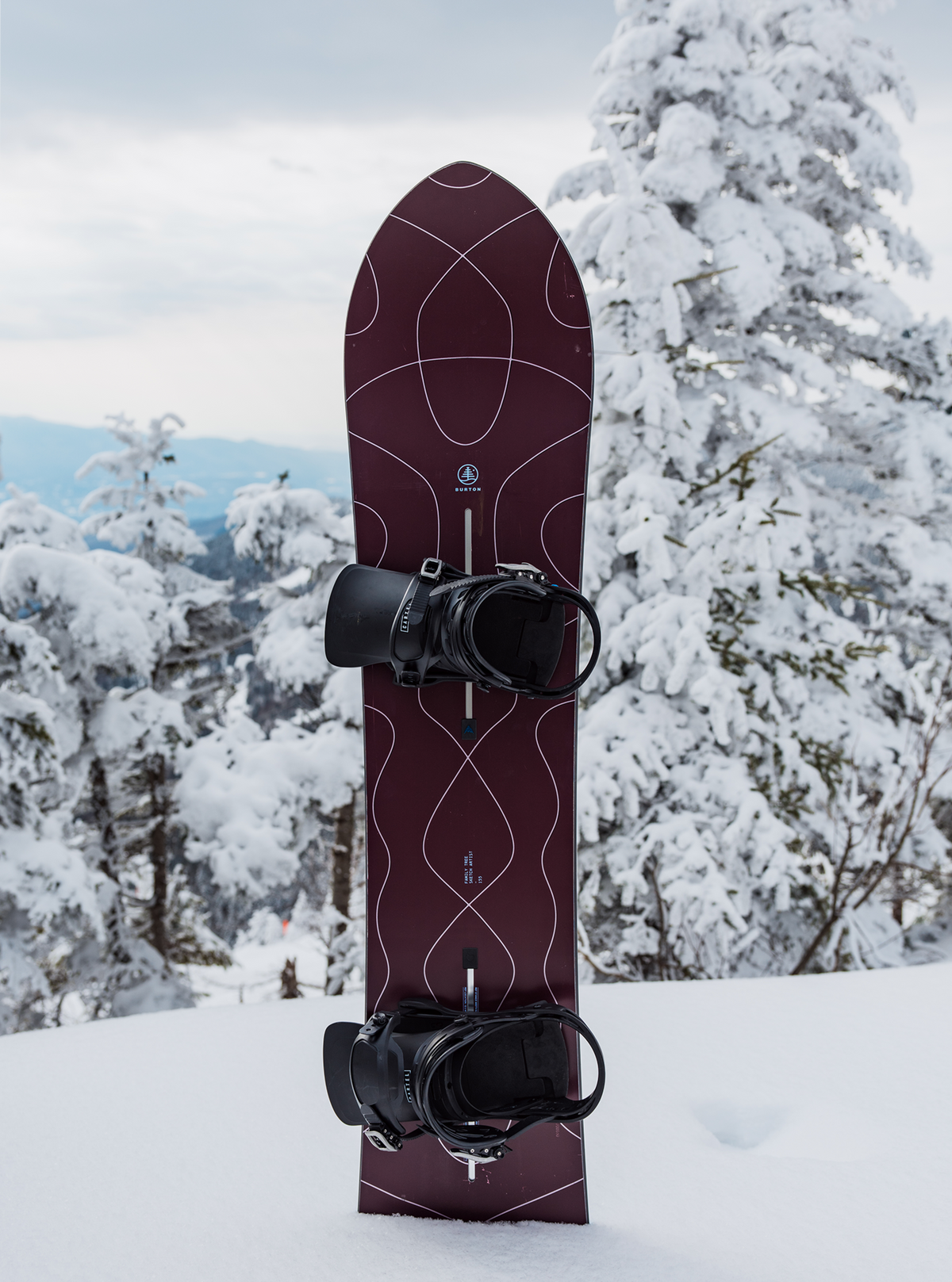 Burton Family Tree Sketch Artist Camber Snowboard 2027