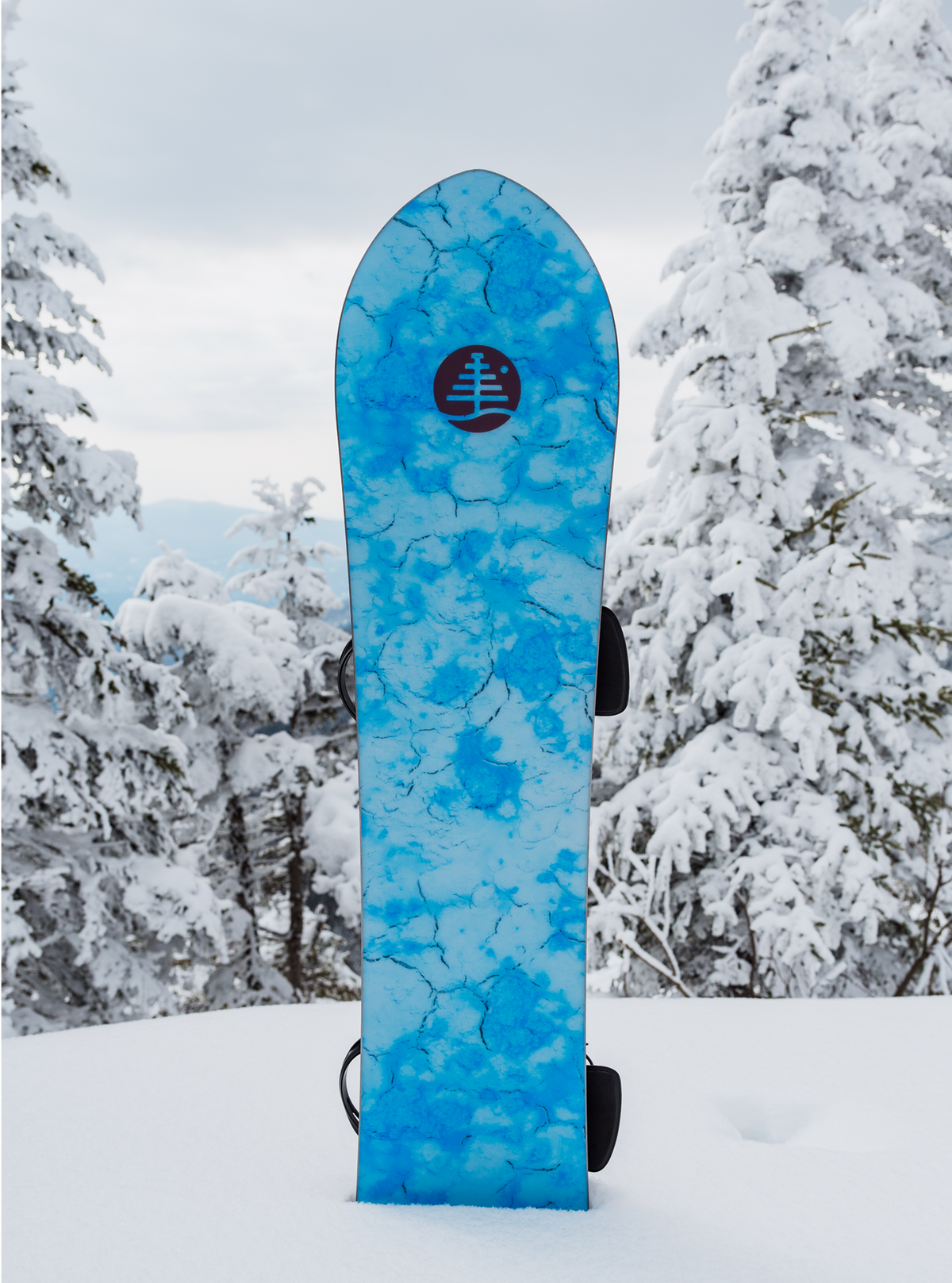 Burton Family Tree Sketch Artist Camber Snowboard