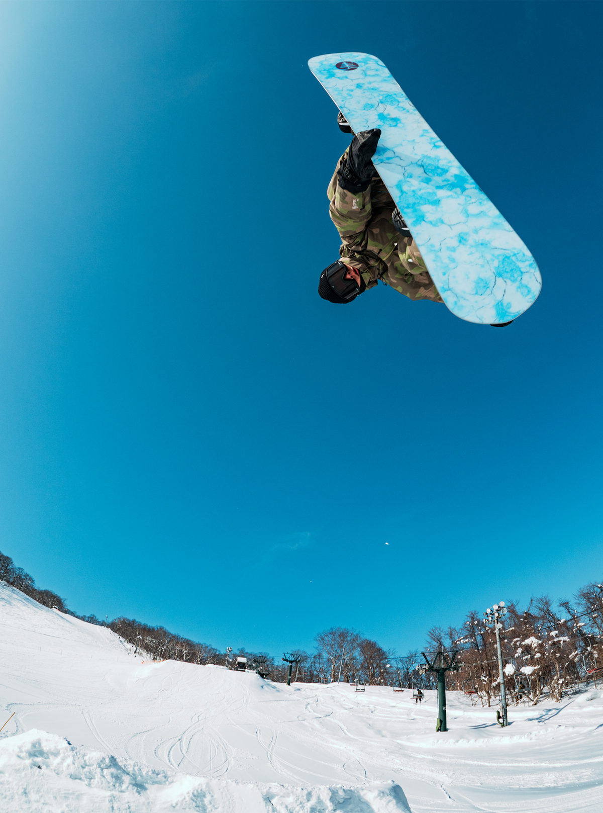 Burton Family Tree Sketch Artist Camber Snowboard