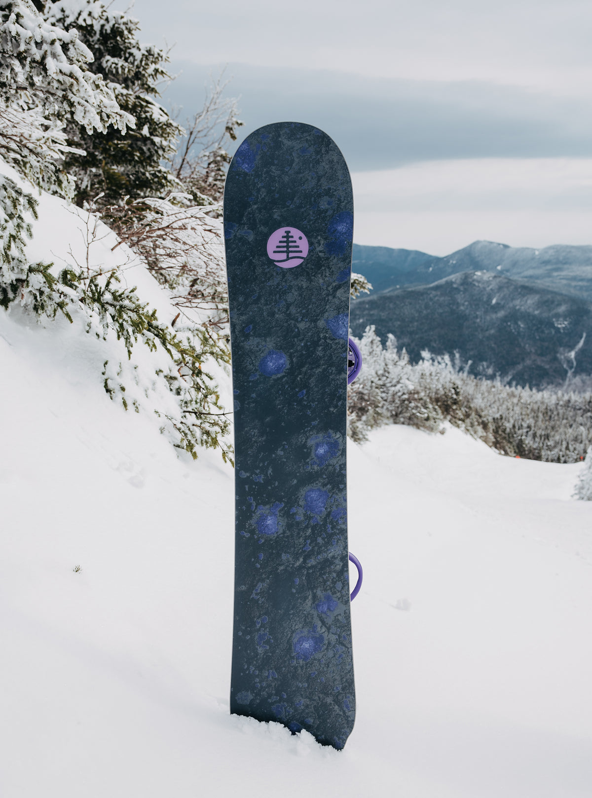 Burton Family Tree Full Nelson Camber Snowboard