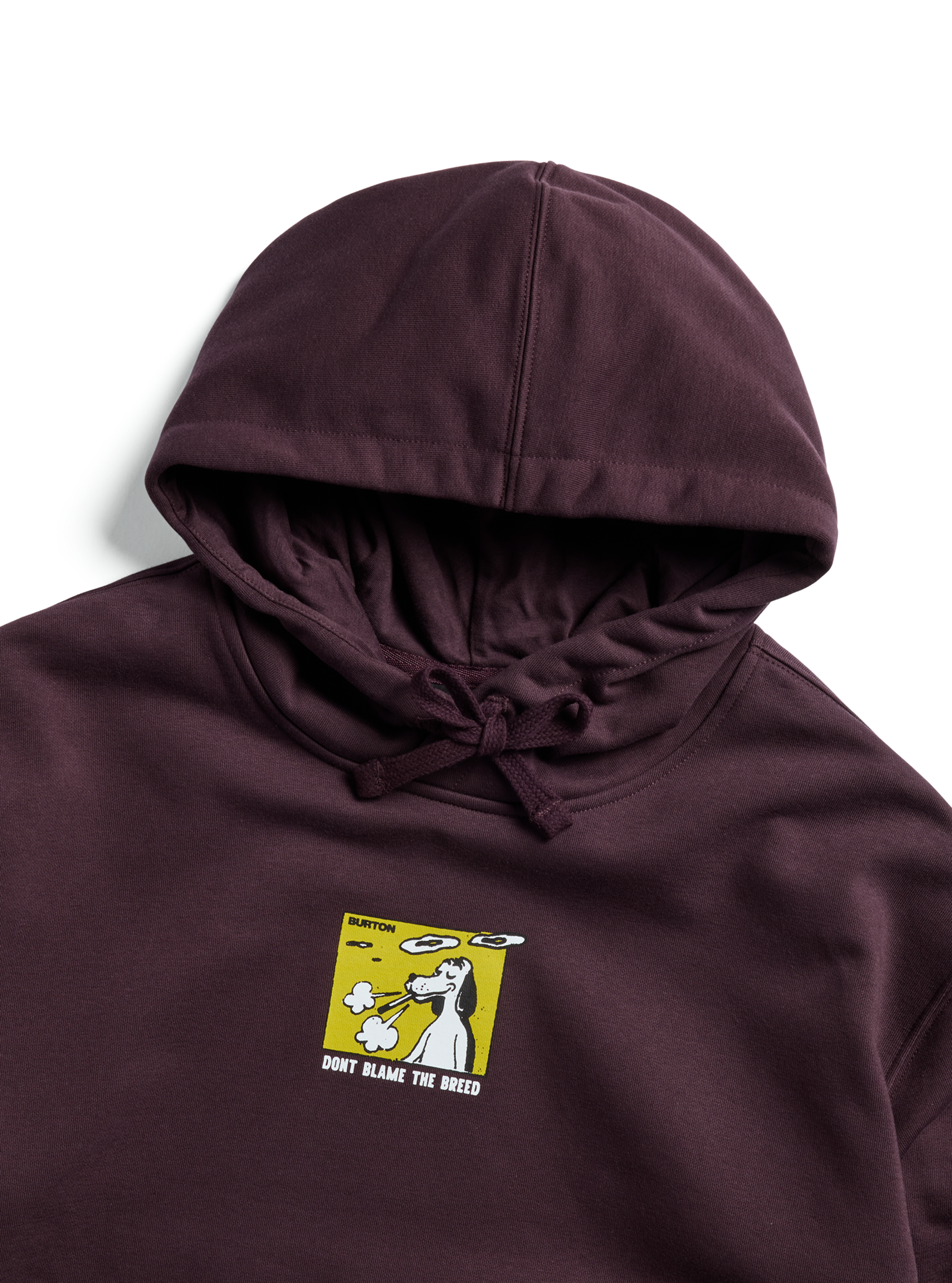 Burton Not Fazed Pullover Hoodie
