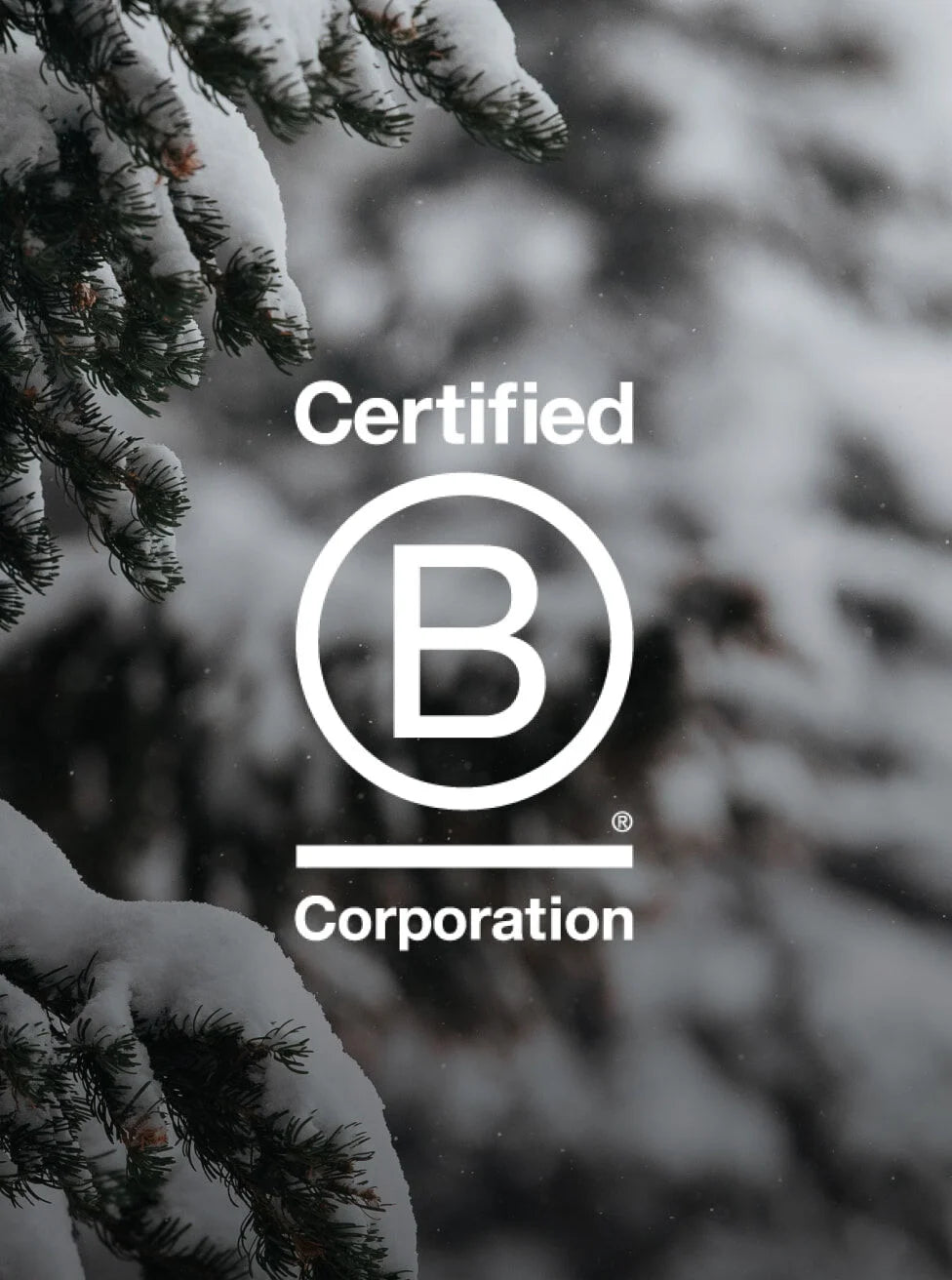 Certified B Corporation logo with snow-covered trees in the background