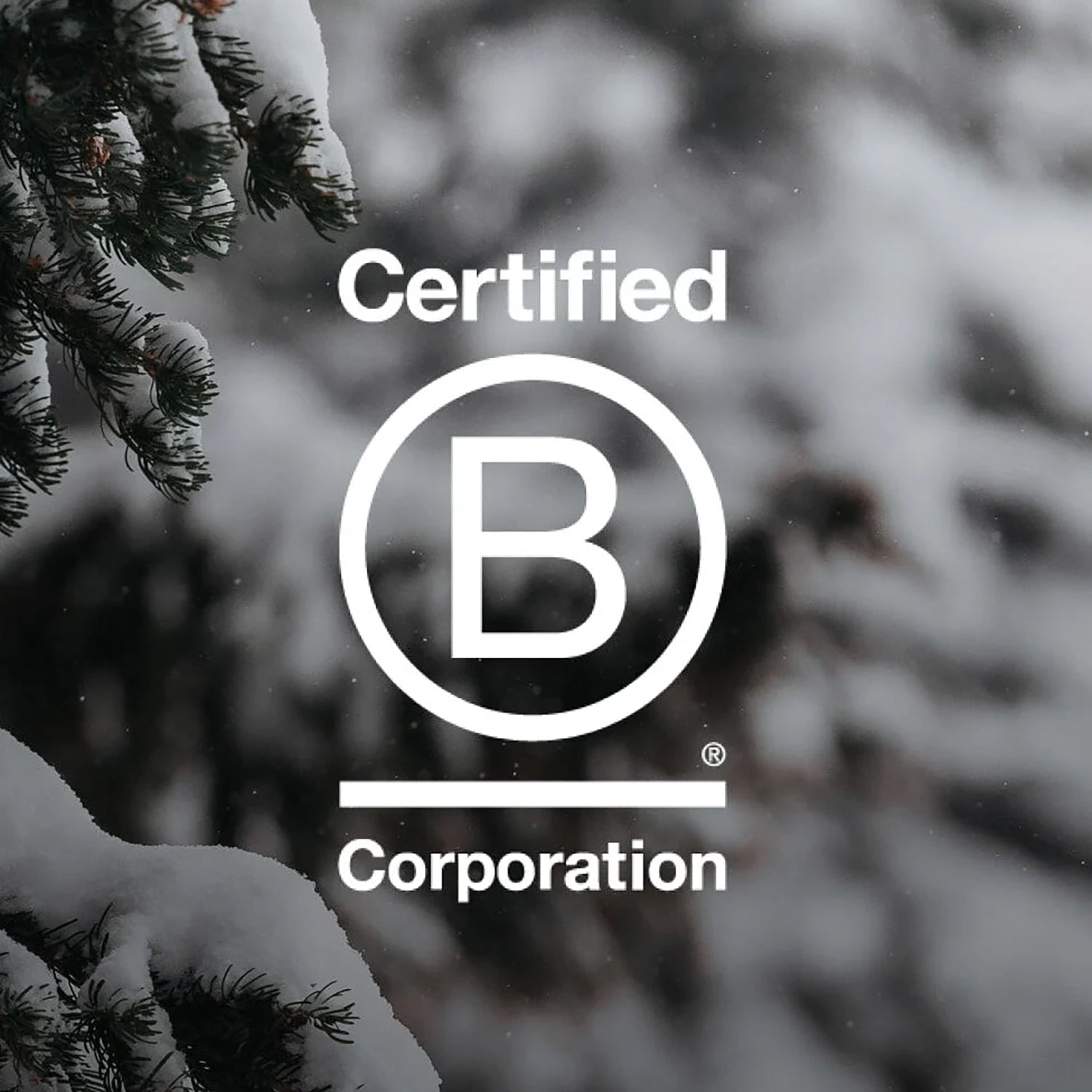 Logo de Burton