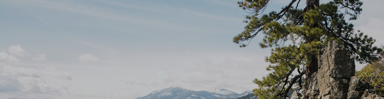 scenic photo of a mountain with a tree in the foreground