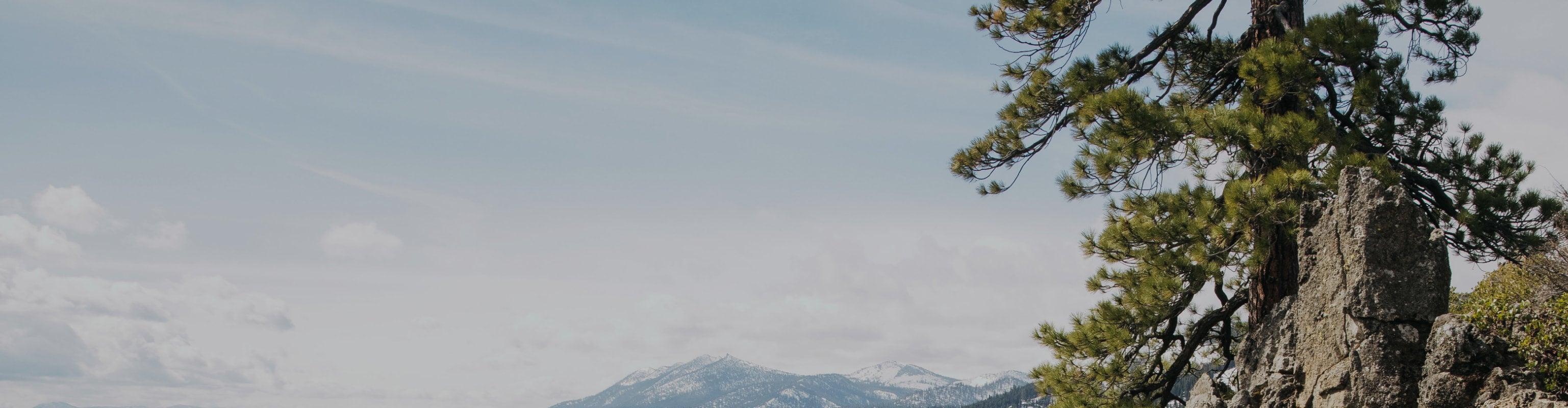 scenic photo of a mountain with a tree in the foreground