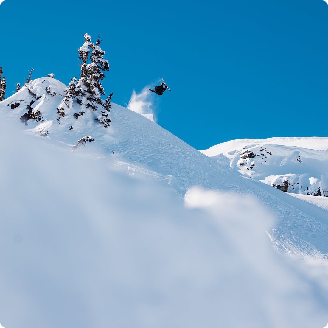 Zeb Powell | Burton Snowboards
