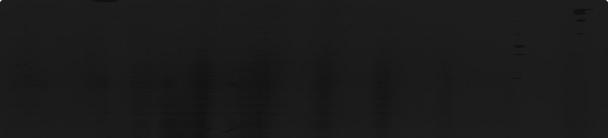 textured, dark gray background