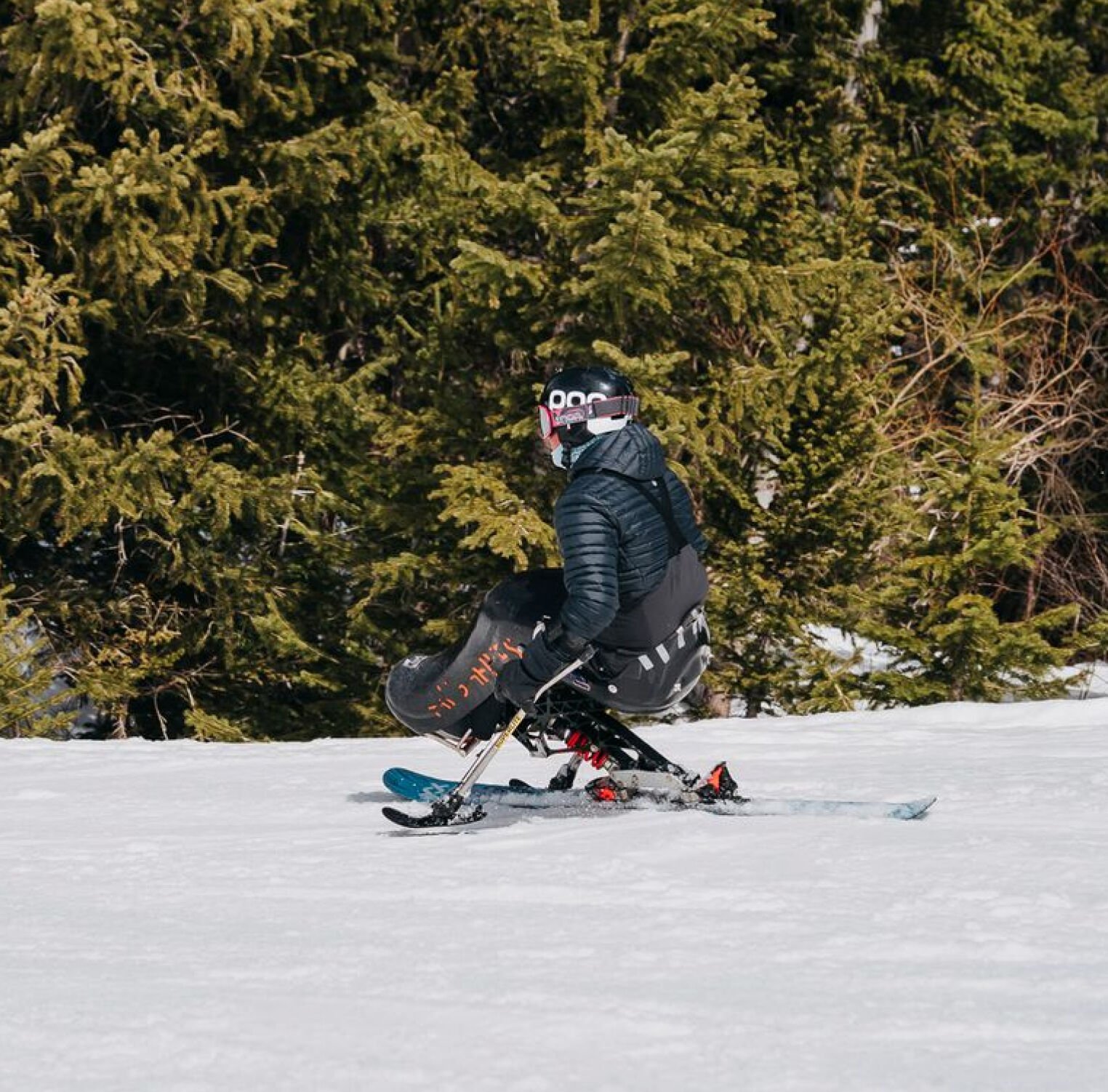 A person on a sit-ski going down a trail at a resort