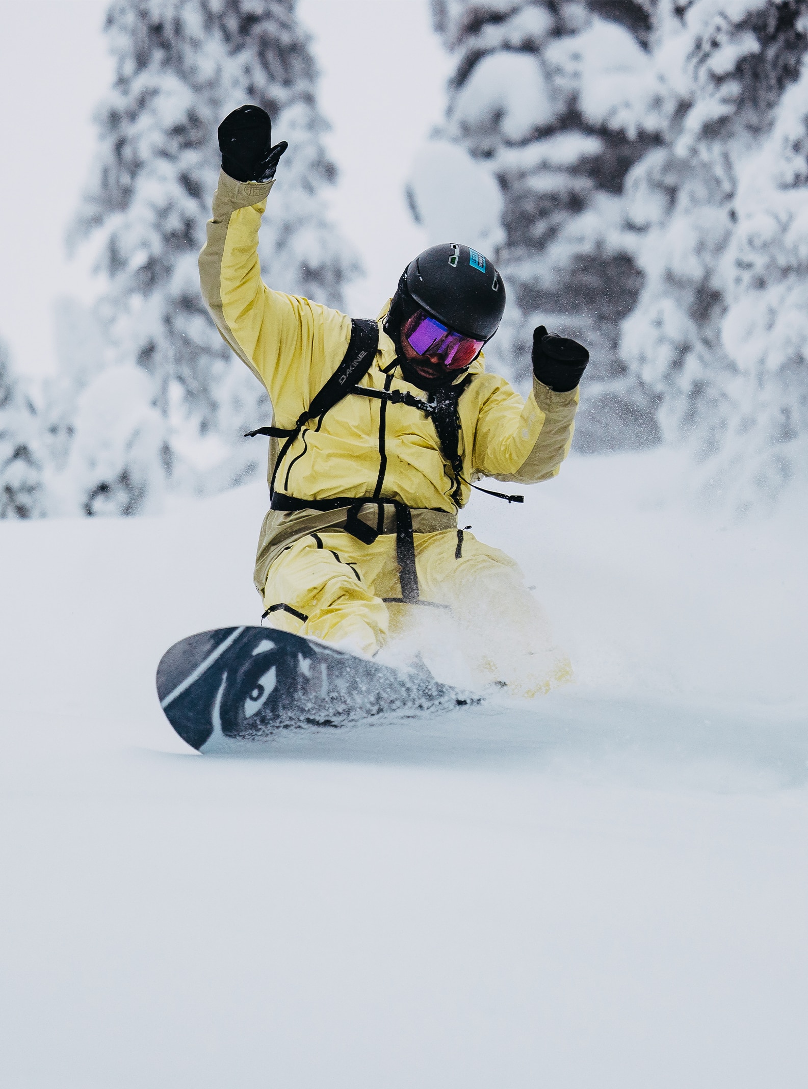 Burton Family Tree Alekesam LTD Camber Snowboard | Burton.com