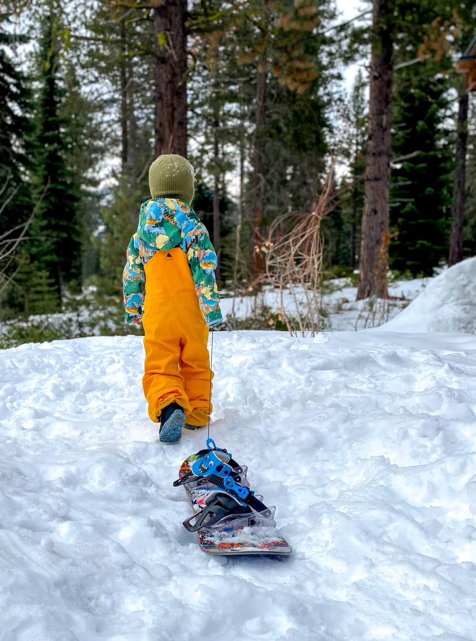 Pantalón de Nieve Niño Ms Maven Bib - Burton 