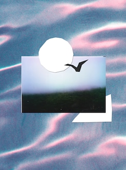 バートン　キッズ Burton イエーセイヤー スモールズ Flat Top Kids' Burton Yeasayer Smalls Flat Top Snowboard | Burton.com