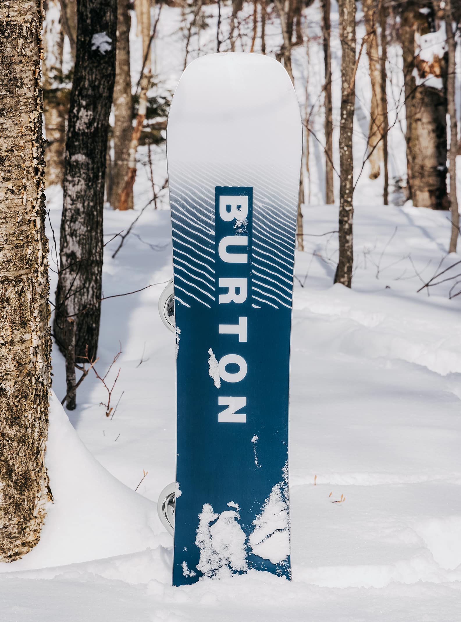 バートン公式通販】メンズ スノーボード（板） | BURTON JP