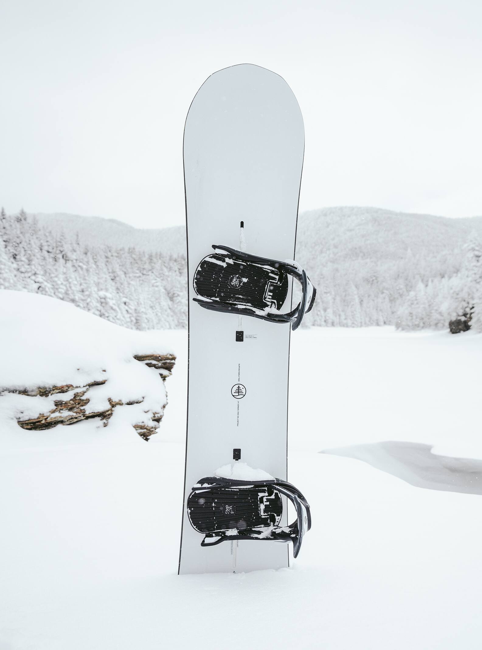 Family Tree 3D Daily Driver Camber Snowboard | Burton.com Winter