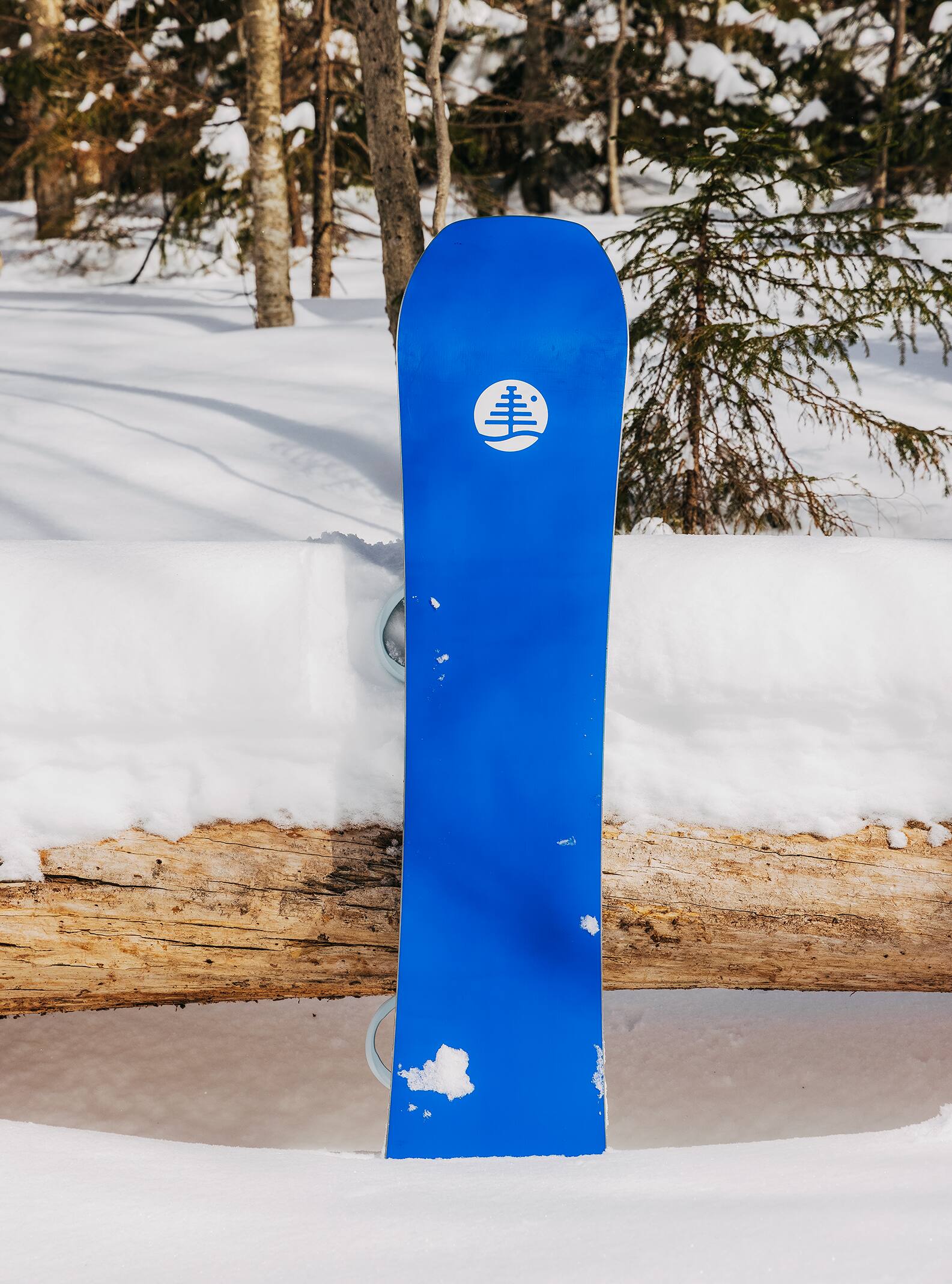 Family Tree Hometown Hero Camber Snowboard | Burton Snowboards US