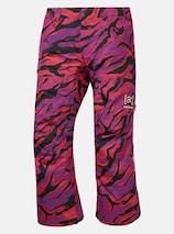 メンズ Burton [ak] スウォッシュ GORE-TEX 2L パンツ | Burton.com