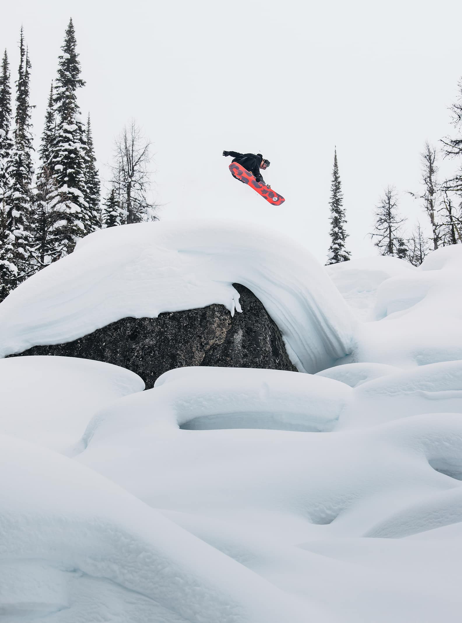 Burton ファミリーツリー ホームタウンヒーロー キャンバー