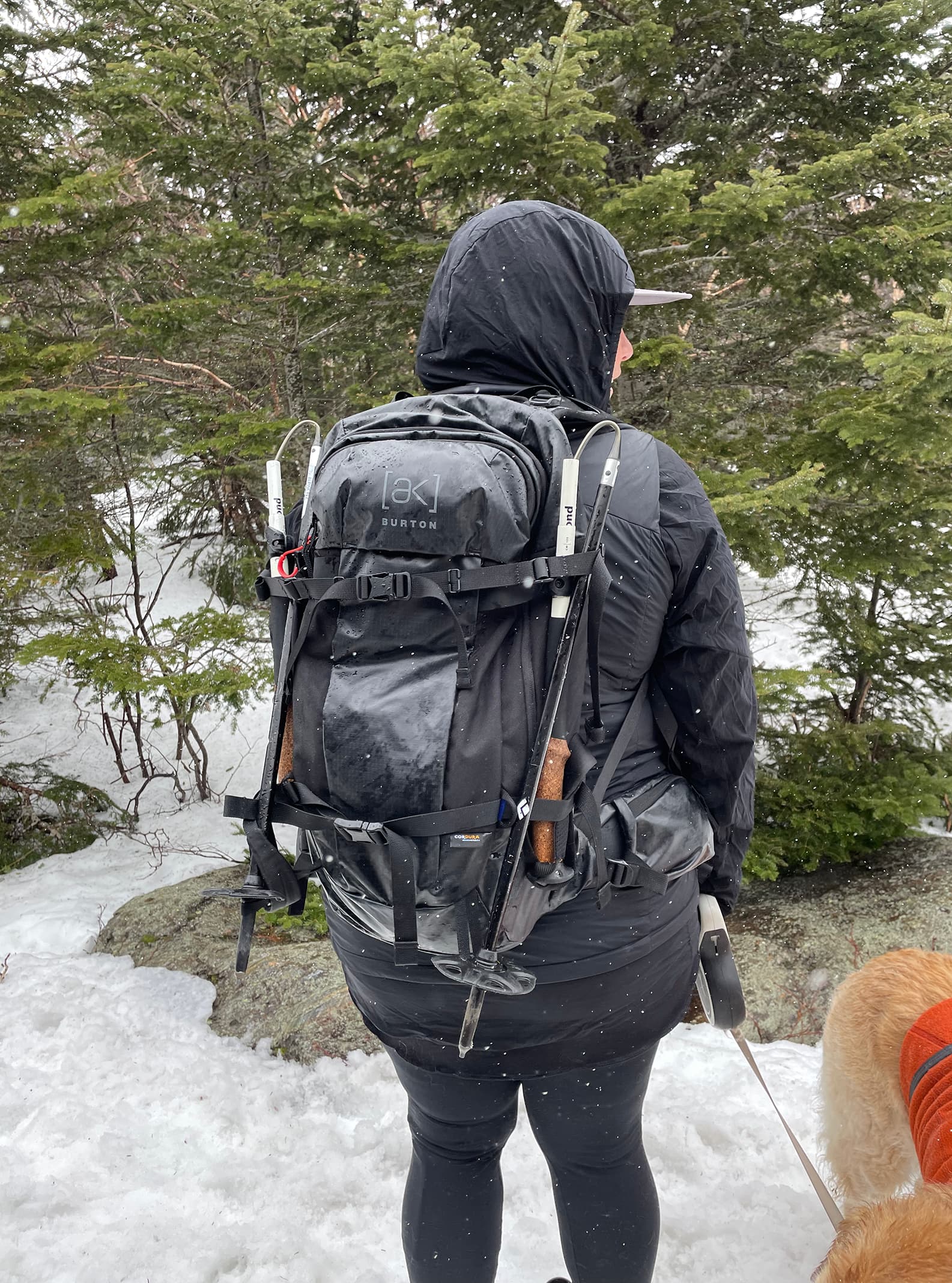 Burton [ak] Dispatcher 35L Backpack | Technical Packs | Burton.com